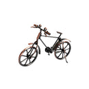 Bicicletă metal - Delumani - Magazin Online Romanesc 