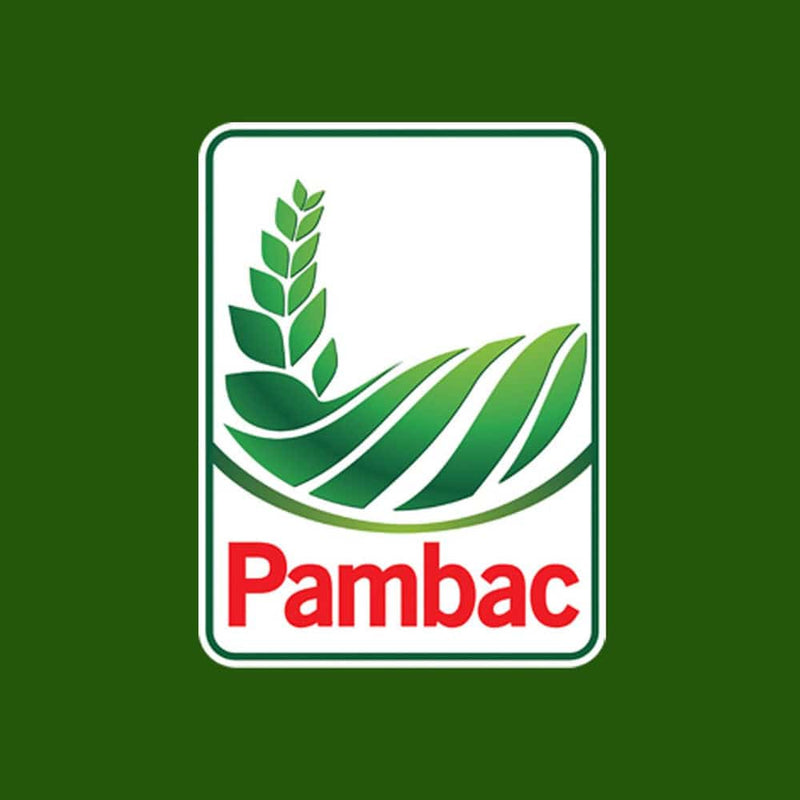 Melcisori Pambac - Delumani - Magazin Online Romanesc 